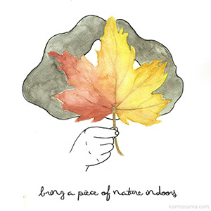 Bring a piece of nature indoors