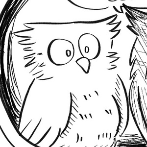 Owl King