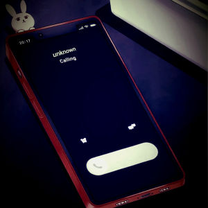 Chapter 5 Face of call