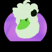 Captured moments -A collection