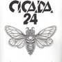 Cicada24