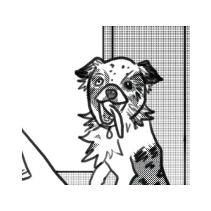 It was REALLY funny, trust me