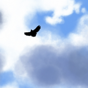 Breath before the plunge part- 6