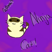 Ninja Cat