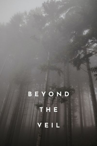 Beyond The Veil