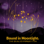Bound in Moonlight: The Sealed Forgotten