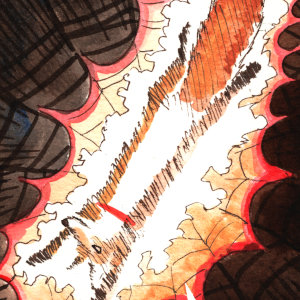 Shining Flame Page 13