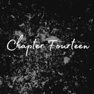 Chapter Fourteen