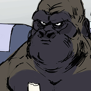 Gorilla