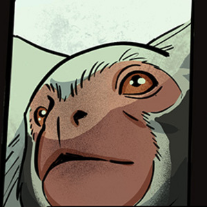 Exploration and Innovation