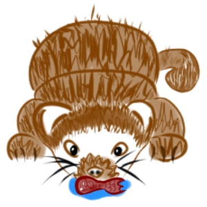 What is wrong with you?