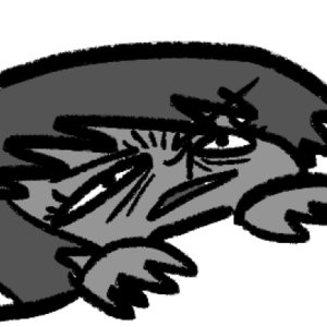 How to stay up with ichikoma