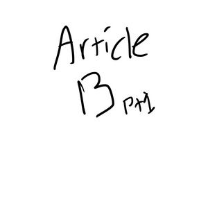 Article 13 PT1