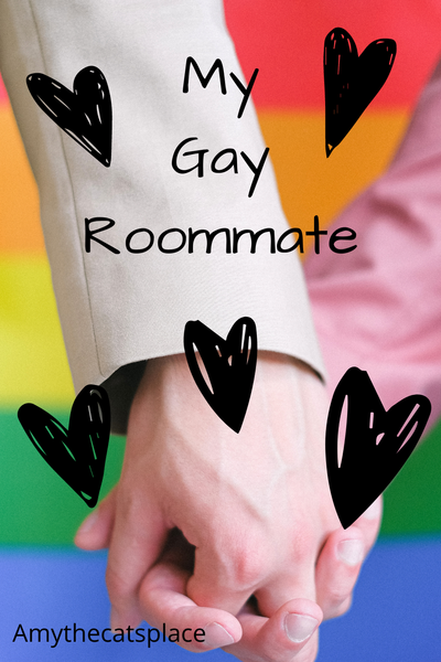 My Gay Roommate