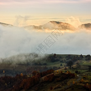 Dao Ye has his own rewards