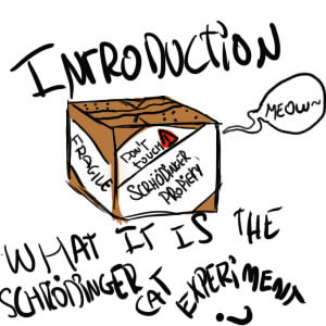 The Adventures of the Schrödinger Cat: INTRODUCTION