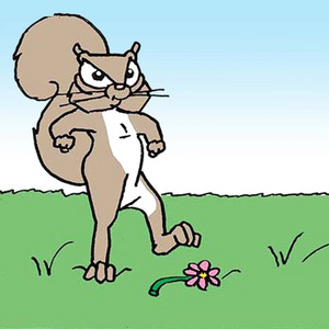 Rat Growing Up In Poverty