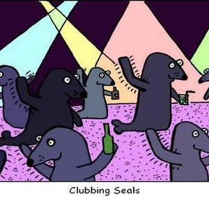 clubbing seals