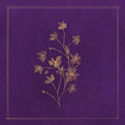 When the Rainy Season Ends