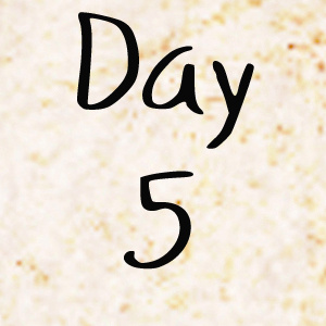 Day 5