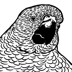 Tira 2: Eu quero um papagaio!