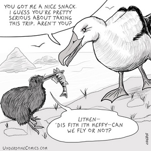 Kiwi Pays the Albatross