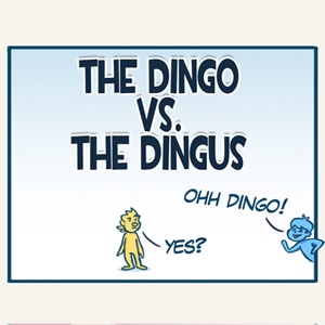 The Dingo vs the Dingus