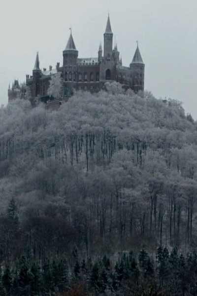 Castle in the woods