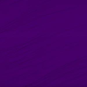 Chapter 4 - Settling In