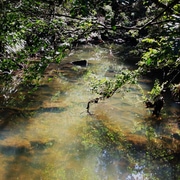 a fragment of thought