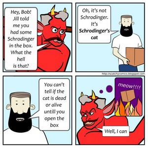 Schrodinger against the demon