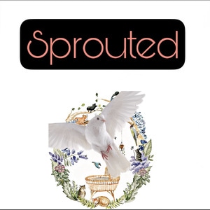| Sprouted | 