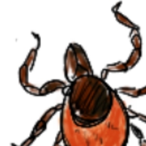 A Quick Guide to Ticks and Lyme Disease
