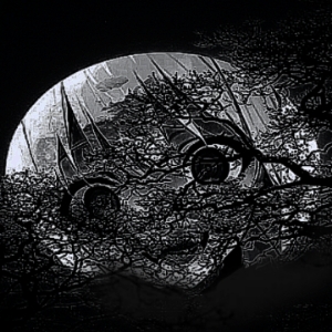 Chapter 2: Trapped in a Cage.