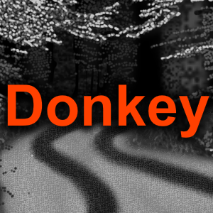 03 – Donkey