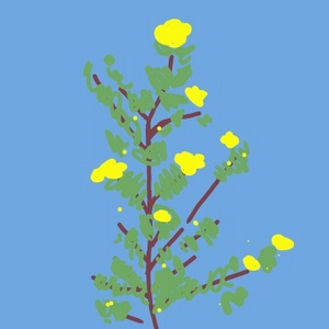 i told you not to read this