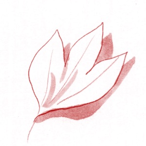 Quest for the Grail-chujang - Insert