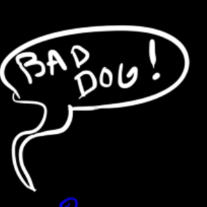 wild pack of family dogs