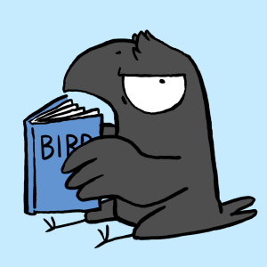 Birb