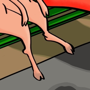 Pigs Feet