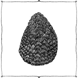 CHAPTER ONE - PART FOUR