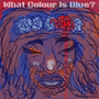 What Colour is Blue?