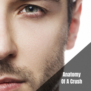 Anatomy Of A Crush Part I