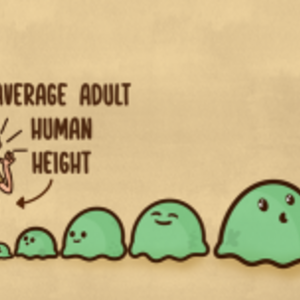 (Almanac Of Gloop) Age &amp; Sizes