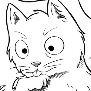 Purrfect 