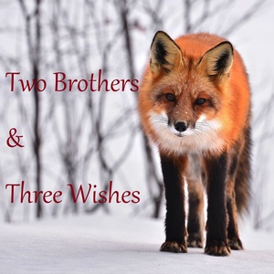 Two Brothers & Three Wishes