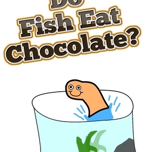 Do Fish Even Eat Chocolate?