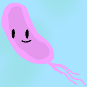 Meet E. Coli