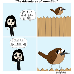 The Adventures Of Wren Bird
