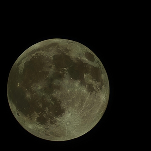 Chapter 1: The journal